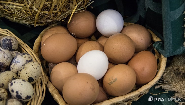 Томская область в 2018 году стала производить больше яиц и молока