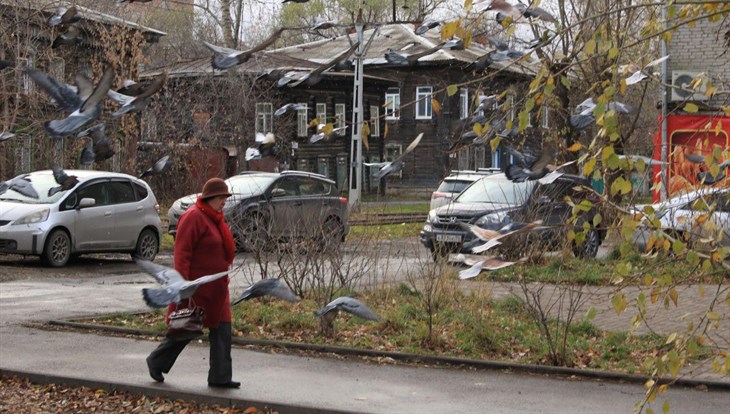 Синоптики обещают небольшой дождь и мокрый снег в Томске во вторник