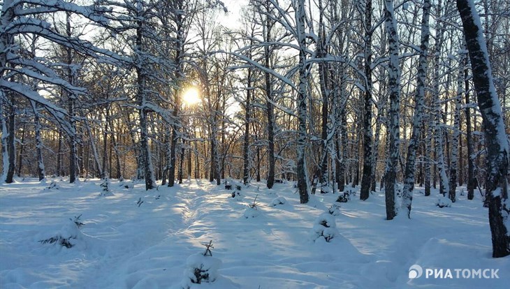 Небольшое похолодание ожидается в Томске в понедельник