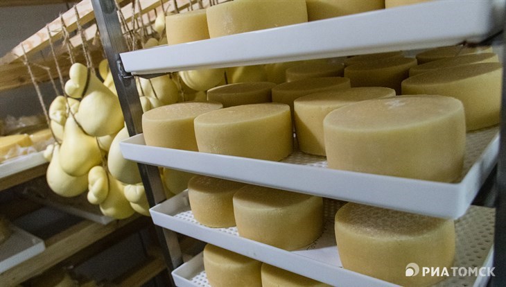 Томская область планирует в 2021г увеличить производство сыра на треть