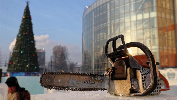 Обустройство ледовых городков в Томске обошлось в 20 млн руб