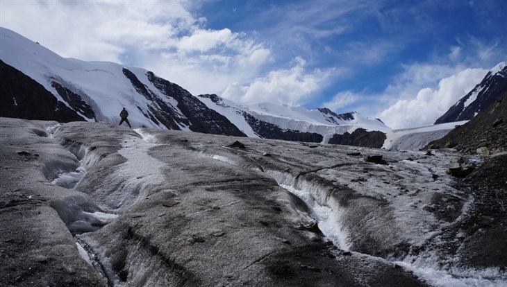 Europeans study climate, glaciers, and tardigrades at TSU stations