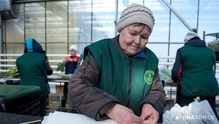 Каждый 5-й томский пенсионер продолжает работать из-за размера пенсии