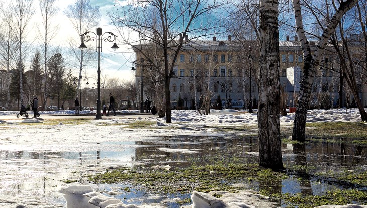 Синоптики обещают теплую сухую погоду в пятницу в Томске