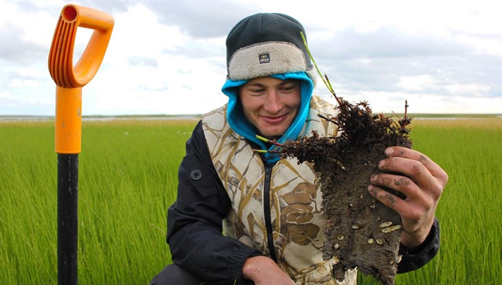 TSU scientists found out how lake disappeared in the Arctic in a month