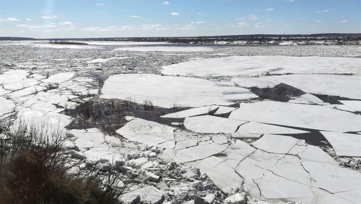 Движение льда на Томи началось в районе Лагерного сада в Томске