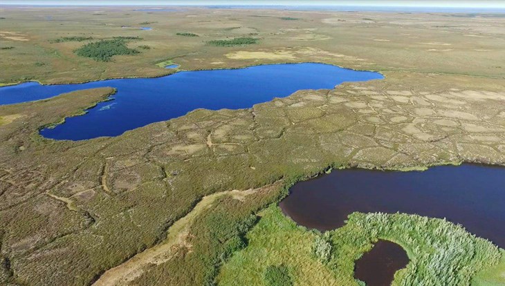 Ученые:залежи нефти возможны на стыке Новосибирской и Томской областей