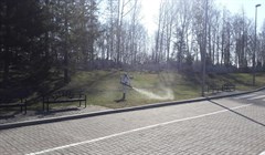 Половина парков Томска обработана от клещей