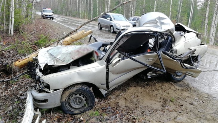 Иномарка съехала в кювет на севере Томской области, водитель погиб