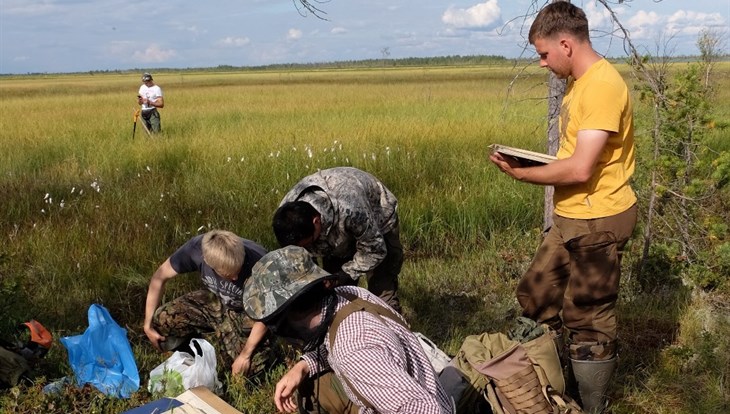 TSU researchers for the first time discover boggy lakes in the Arctic