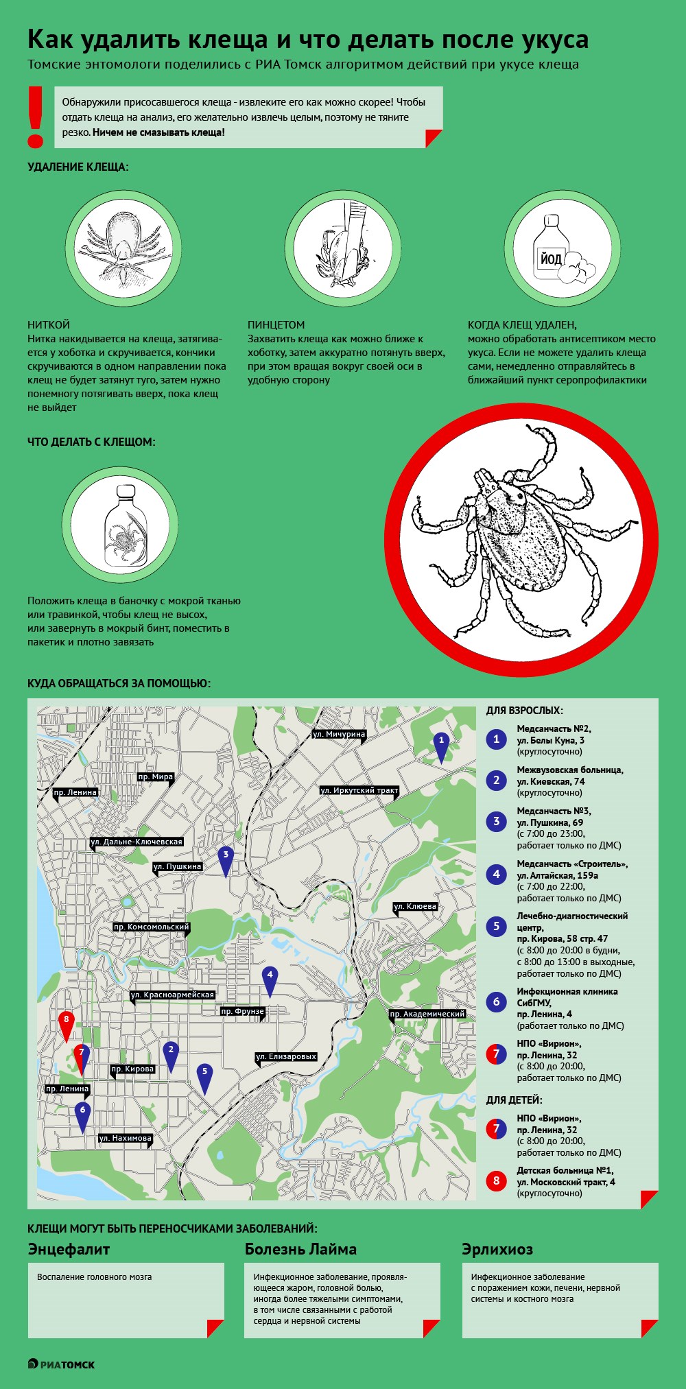 Более тысячи жителей Томской области пострадали от укусов клещей с начала сезона 2019 года. Что делать, если вы обнаружили присосавшегося клеща, и куда обращаться за помощью в Томске – узнайте из инфографики.