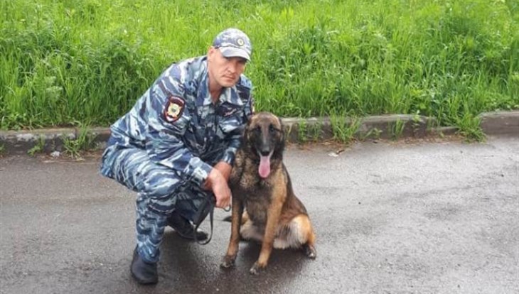 Служебный пес обнаружил пропавшего ребенка в Томске
