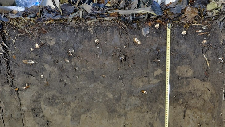 Ученые ТГУ обнаружили признаки древней пашни на юге Томской области