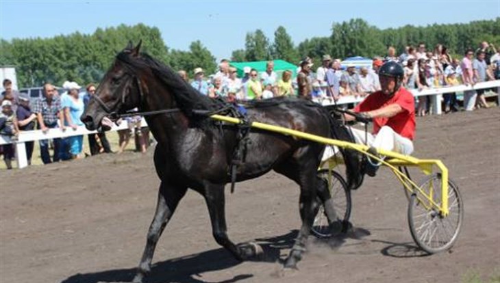Зырянский район отметит 95-летие конными скачками и концертом