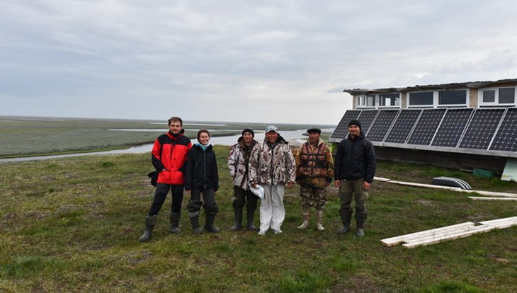 Ученые ТГУ изучают арктические оазисы в местах таяния мерзлоты