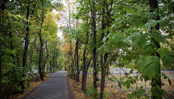 Затраты на парки, скверы и газоны Томска в 2021г составят 139 млн руб