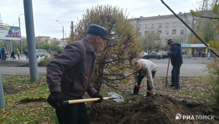 Власти хотят высадить больше зелени в спальных районах Томска в 2020г