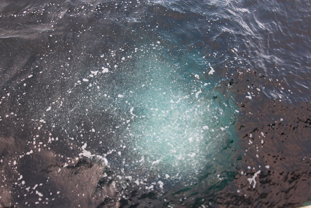 На фото – сипы, которые также называют метановыми фонтанами. По сути это газовые пузыри, которые поднимаются на поверхность из-под слоя подводной мерзлоты. Их присутствие доказывает – в этом месте мерзлота деградирует.