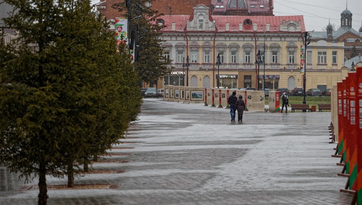 Снег, порывистый ветер и гололед ожидают томичей в понедельник