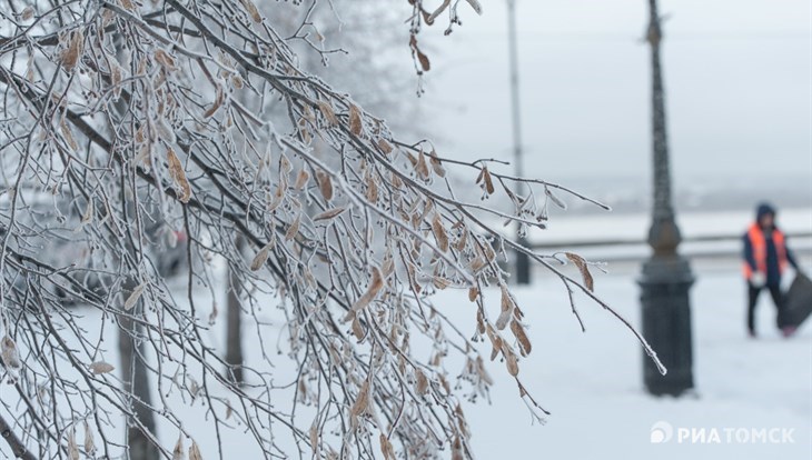 Снег  и порывистый ветер ожидаются в Томске в понедельник