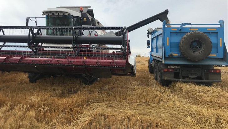 Экспорт зерна из Томской области вырос в 2019г до $ 2,4 млн