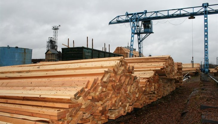 Томское УФСБ выявило незаконный вывоз леса в Узбекистан на 2 млн руб