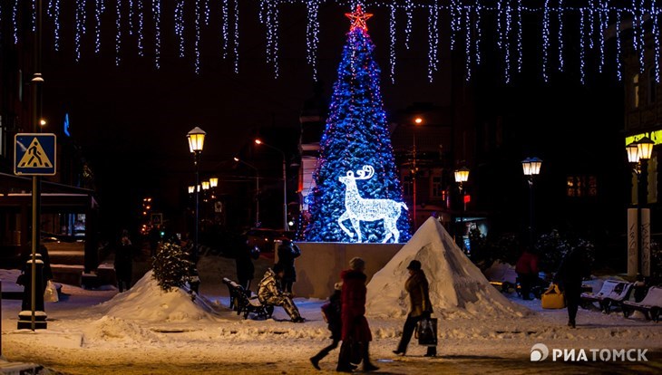 Демонтаж новогодних елок в Томске начнется 23 февраля