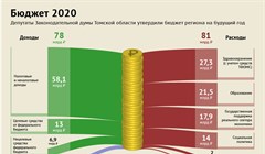 Параметры бюджета Томской области на 2020 год: доходы и расходы