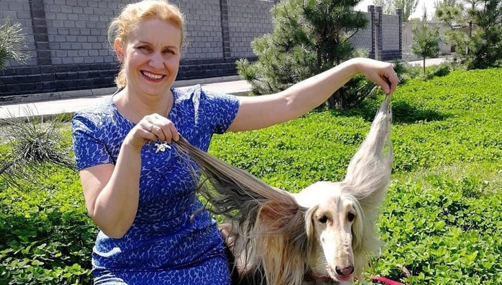 Лайки для Ванильки: как собака томички стала звездой Instagram