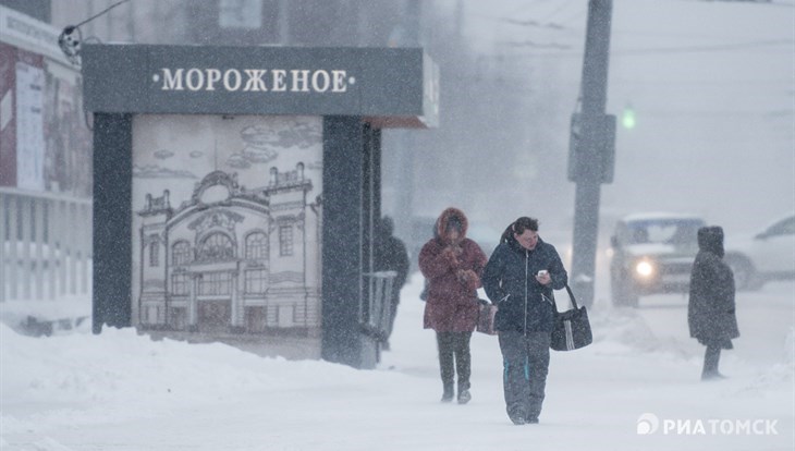 Сильный ветер и снегопад сохранятся в Томске в субботу