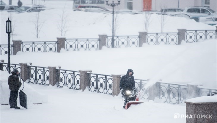Синоптик: за 17 и 18 января в Томске выпала декадная норма осадков