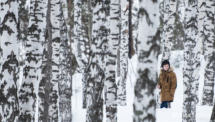 Небольшой снег и нулевая температура ожидается в Томске в среду