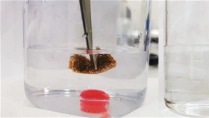 Ученые ТПУ разработали супергидрофобную губку для сбора нефти