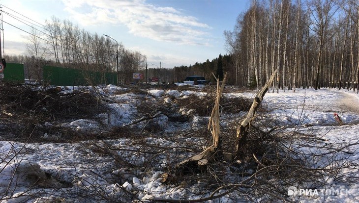 Деревья на площади 1 га снесены для строительства развязки под Томском