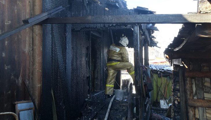 Пожарные в томском селе спасли через окно горящего дома трех человек