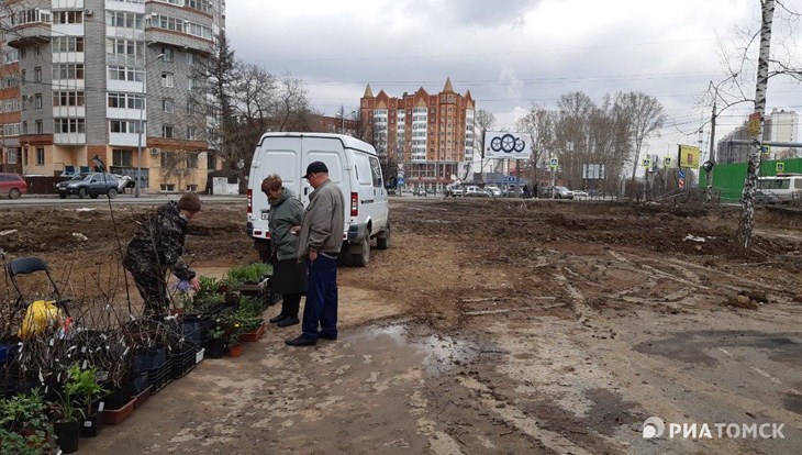 Ярмарка рассады у томского Политехника переедет вглубь рощи