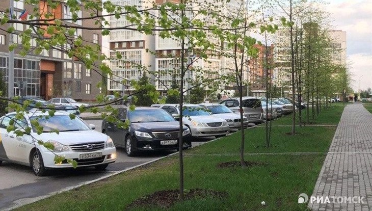 Двухметровые липы высажены в Томске на месте снесенных тополей