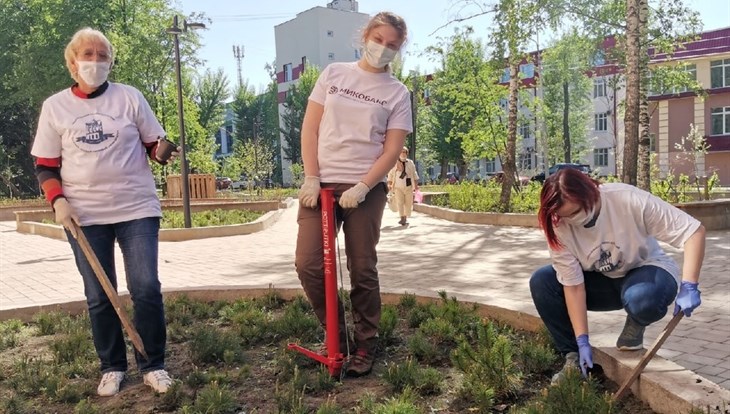 Биологи поддержат Сад ветра на Усова в Томске удобрениями с грибами