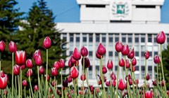 Томск примет 200 жителей приграничных районов Белгородской области