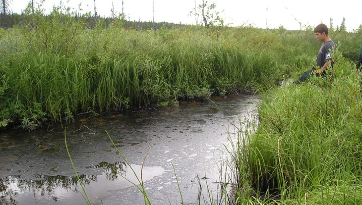 TSU biologists offer their developments to clean Norilsk water bodies