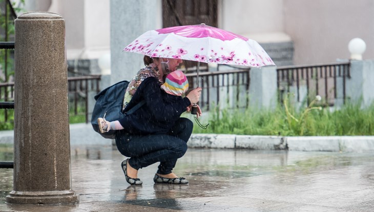 Прохладная и дождливая погода ждет томичей в пятницу