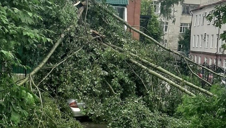 Коммунальщики убирают упавшие из-за непогоды деревья с улиц Томска