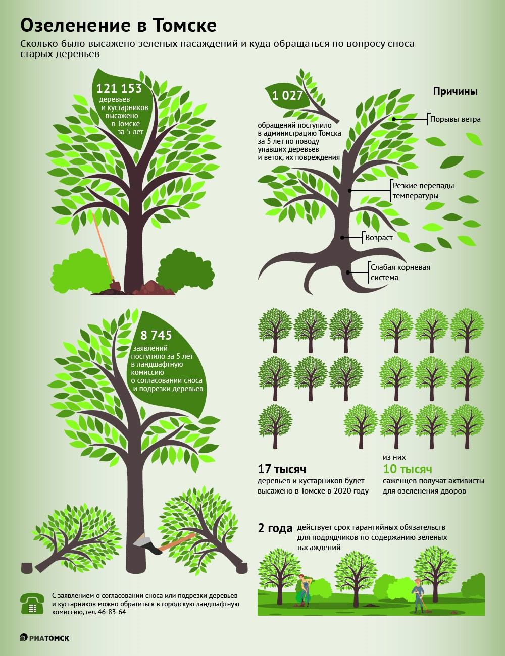 Семнадцать тысяч деревьев и кустарников планируется высадить в Томске в 2020 году, большую часть саженцев – 10 тысяч –  получат активисты для озеленения дворов. Подробнее - в инфографике РИА Томск.