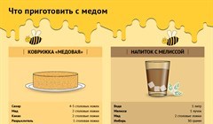 Медом намазано: что приготовить на Медовый Спас-2023 – 4 рецепта