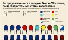 Как распределились места в думе Томска VII созыва