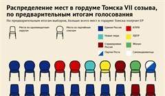 Как распределились места в думе Томска VII созыва