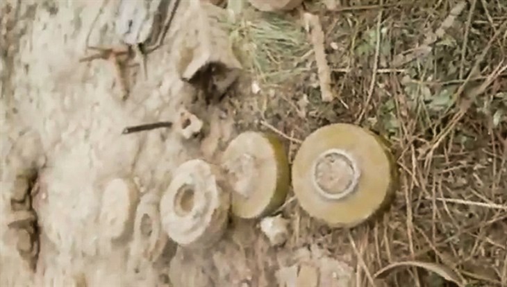 Сотрудники пилорамы нашли противотанковые мины под Томском