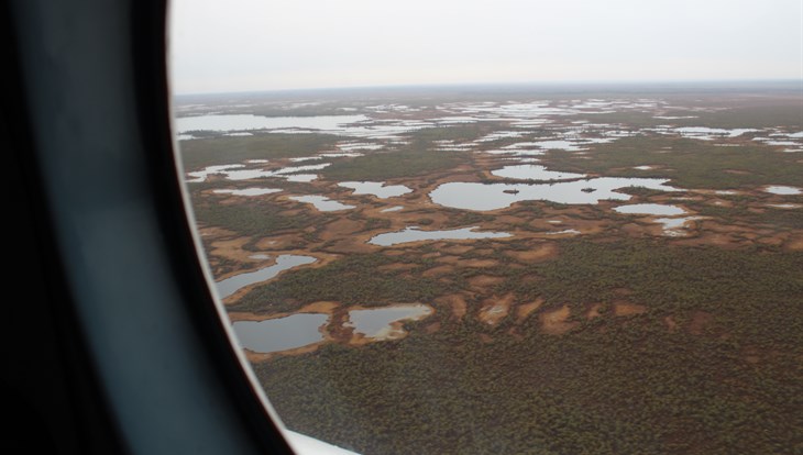 Томский эксперт: Васюганские болота захватывают по 800 га в год