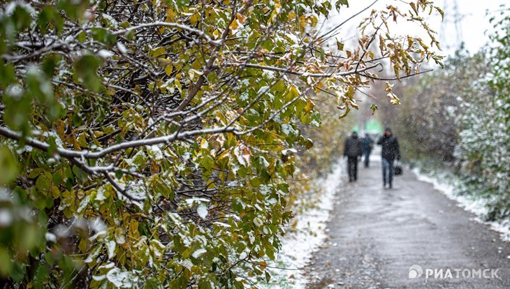 МЧС: ветер, снег и гололед ожидаются в Томской области во вторник