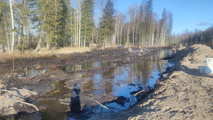 Крупный разлив нефти произошел на месторождении в Каргасокском районе